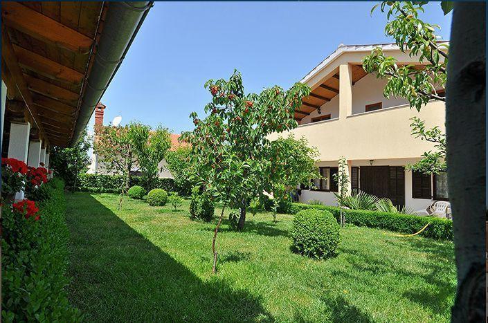 Apartment Pokrajac Ровинско село Стая снимка